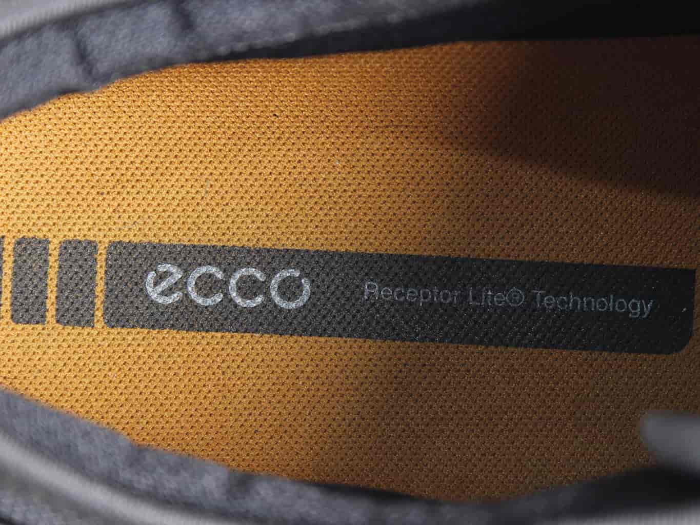 ecco receptor lite technology