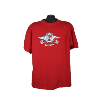 Футболка мужская VALENTO, XL