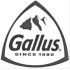GALLUS